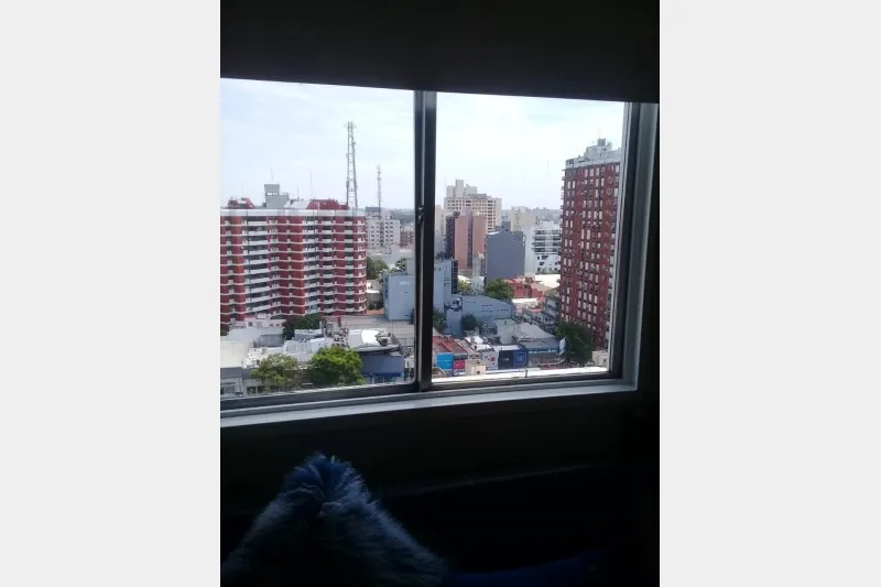 Professional studio apartment for rent in Ramos Mejía