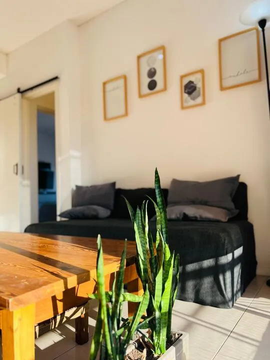 One-bedroom two-room apartment in Tigre with terrace balcony and grill