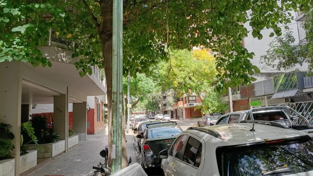 Three-room apartment in Colegiales