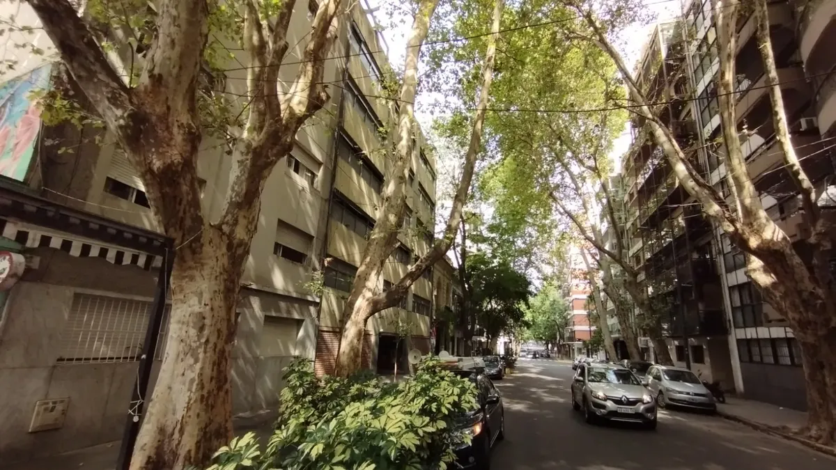 Alquiler Monoambiente Barrio Norte
