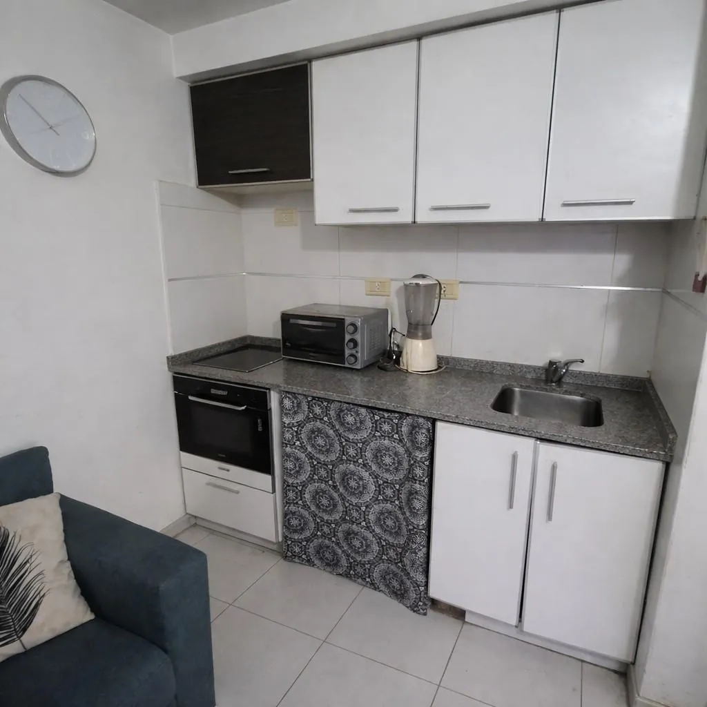 Monoambiente Contrafrente Con Balcon Con Parrilla