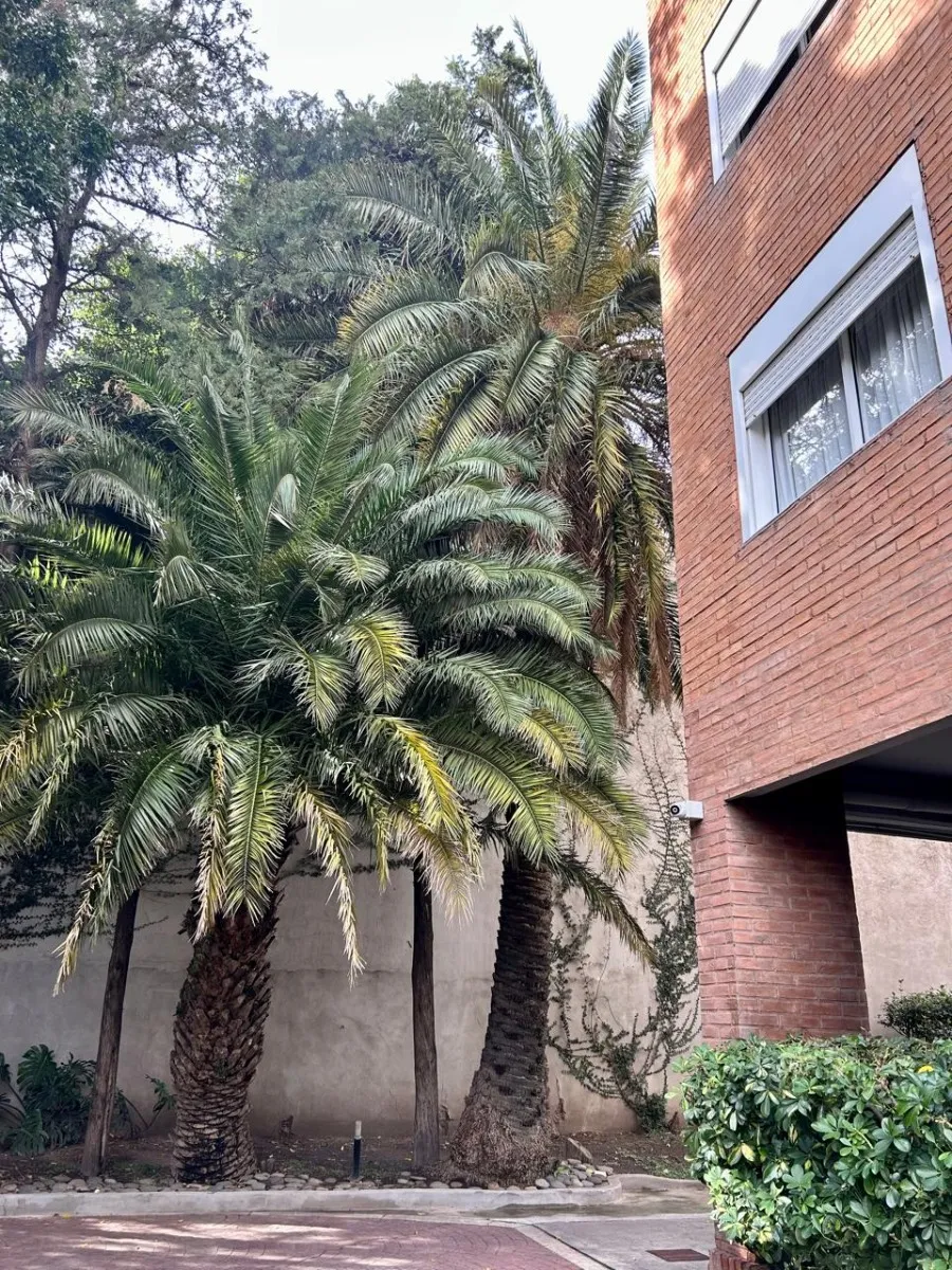 4-room apartment with balcony