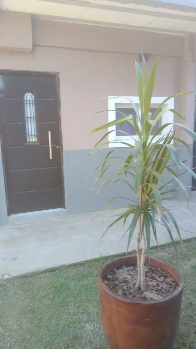 Ground floor, 1BR studio