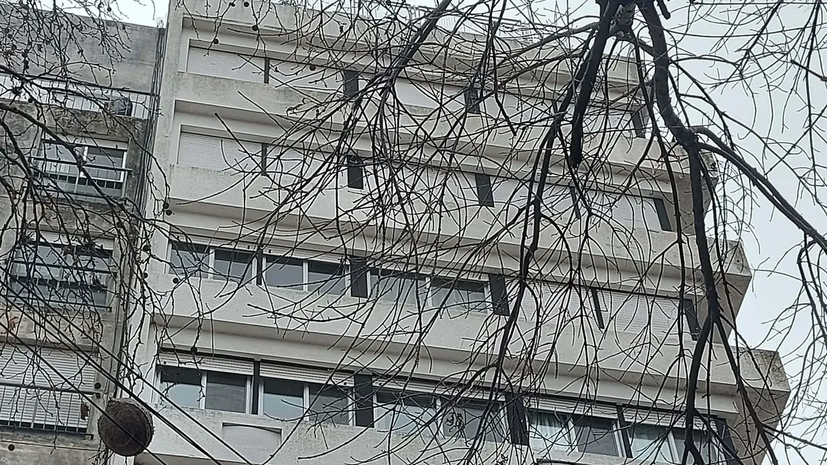 Alquiler Departamento La Plata  2 Dorm + Estudio