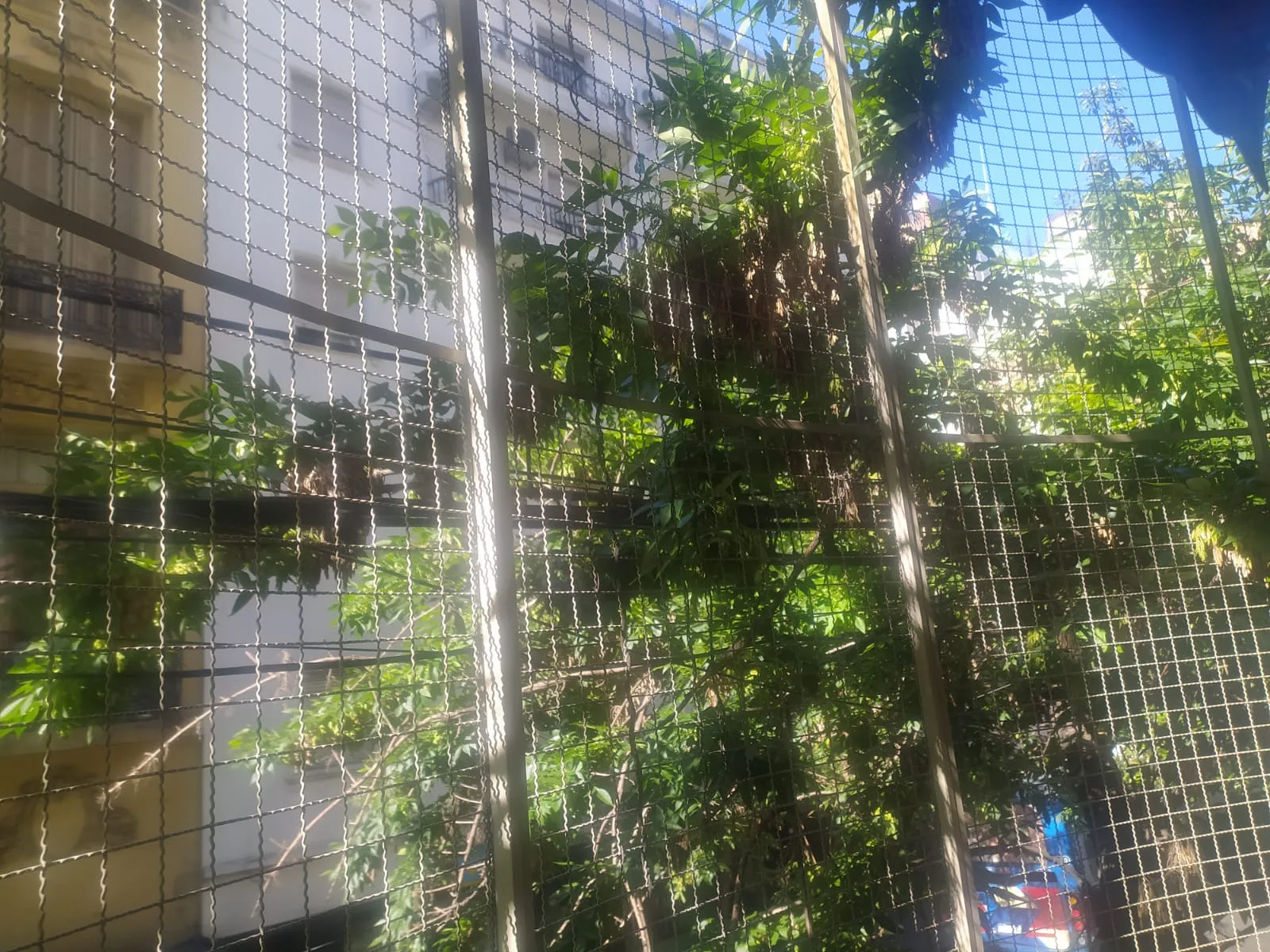 Снаружи