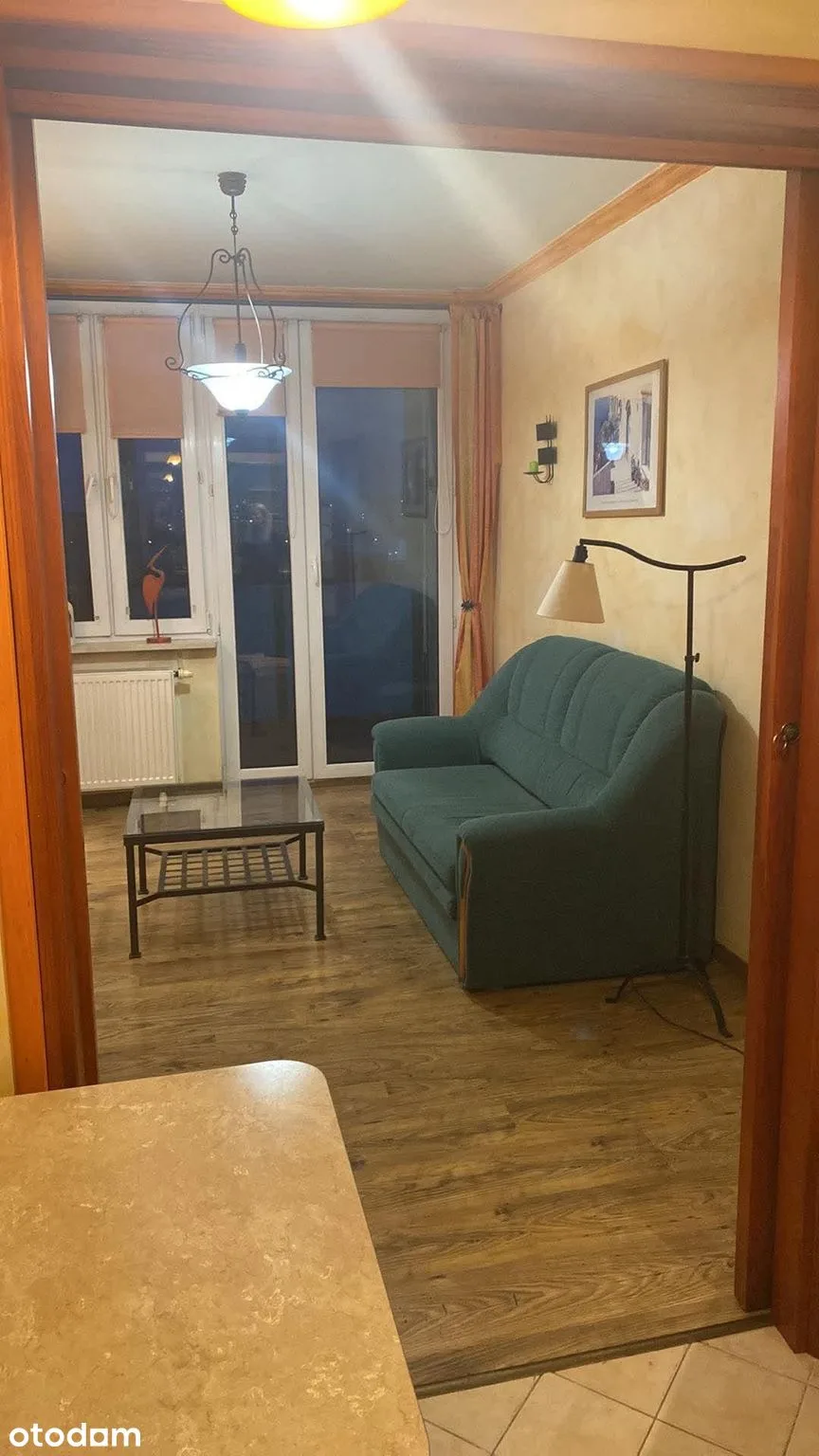 8 этаж зимний сад панорама