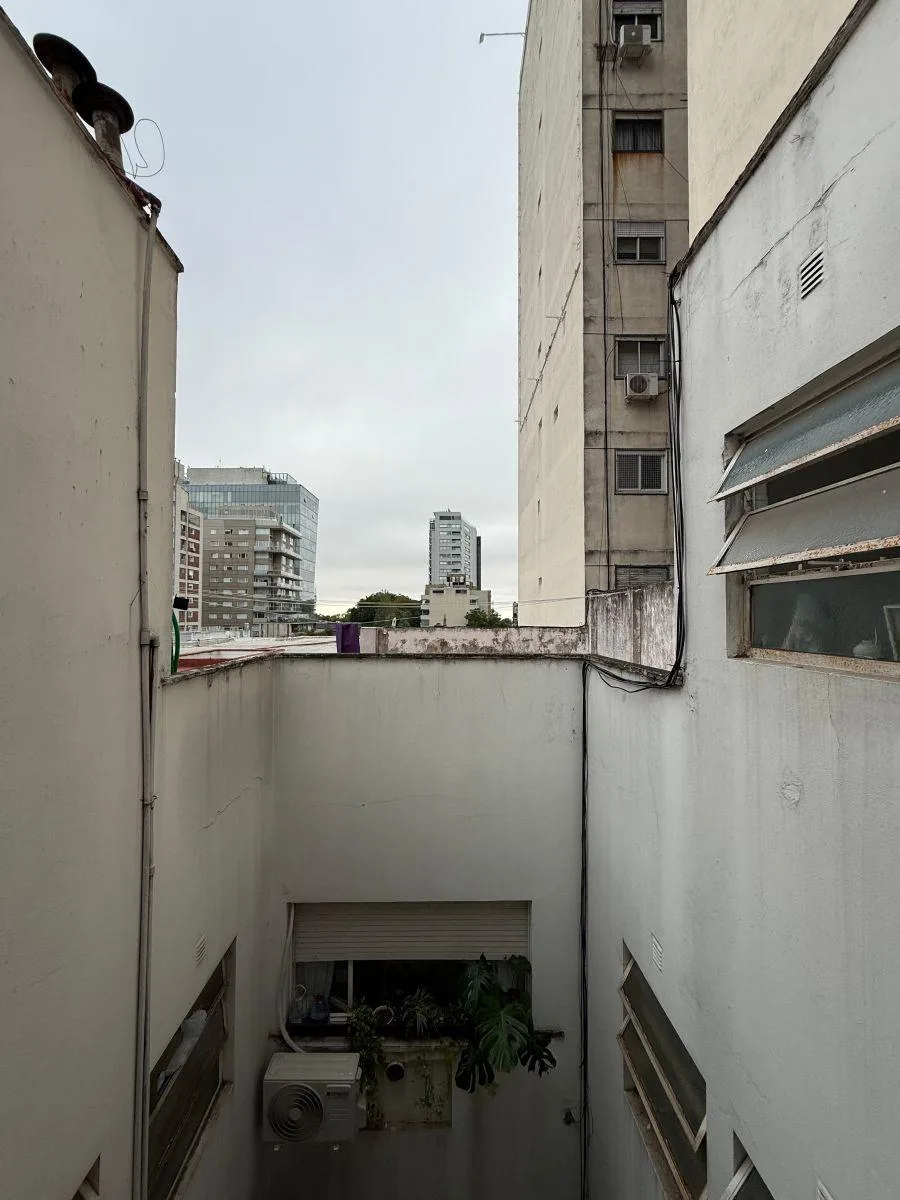 Vista
