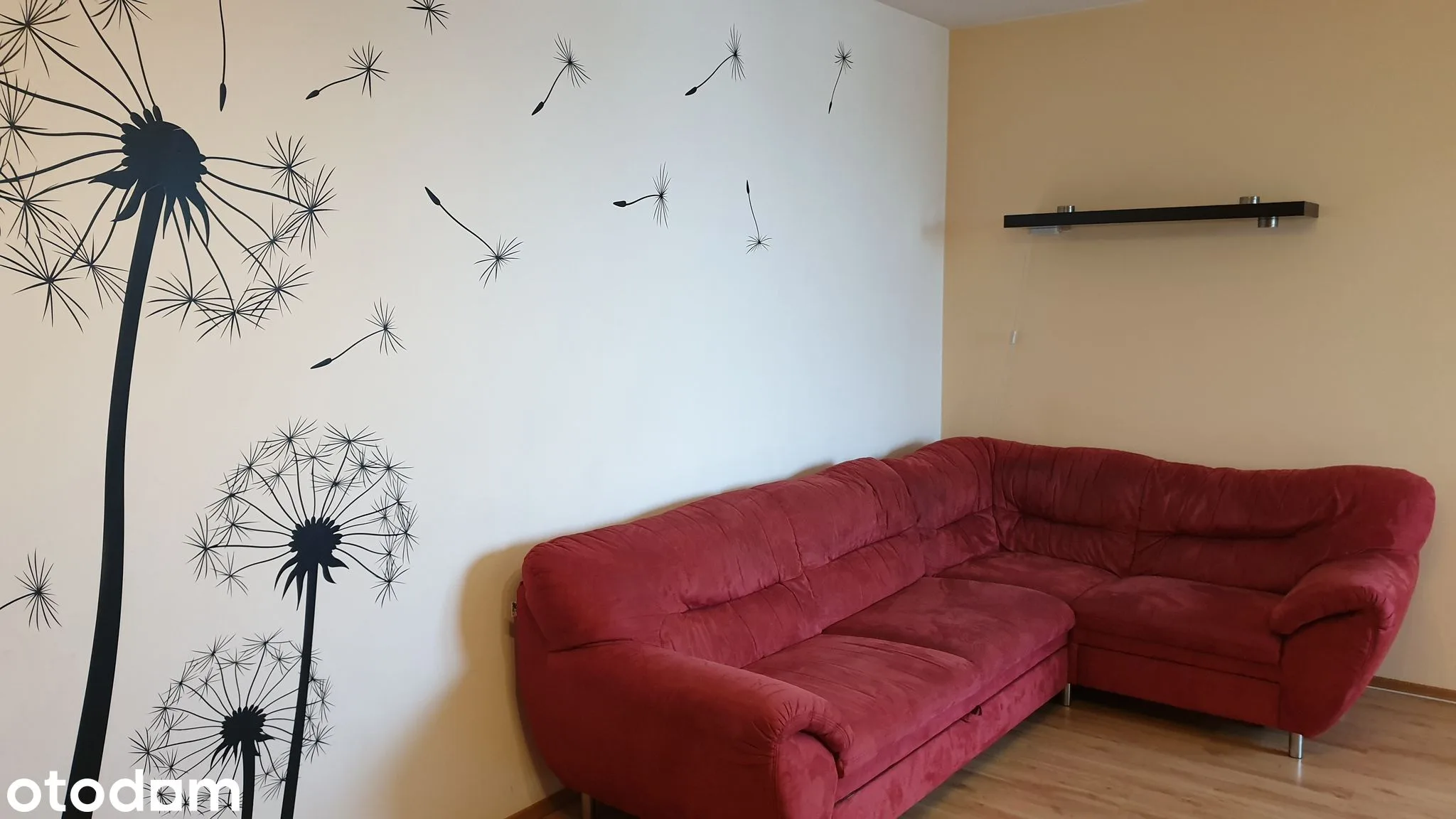 living_room