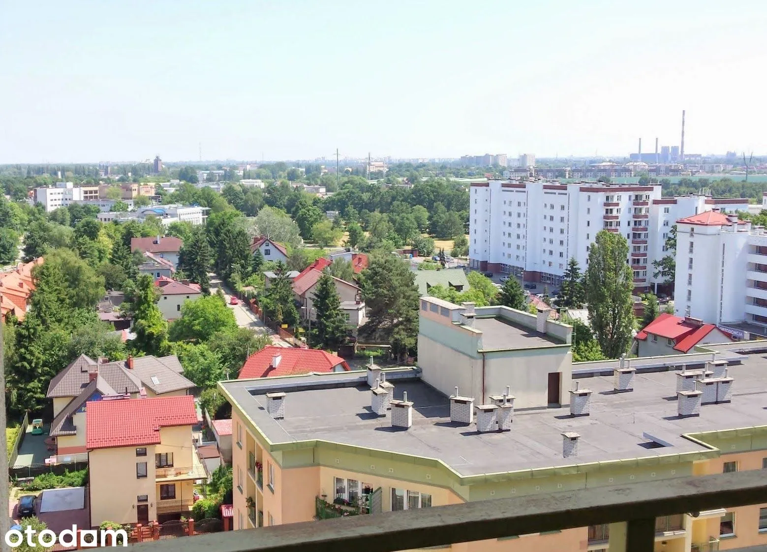view