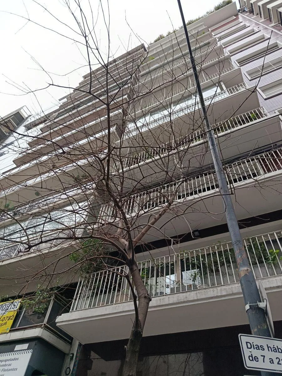 Monoambiente contrafrente con AA