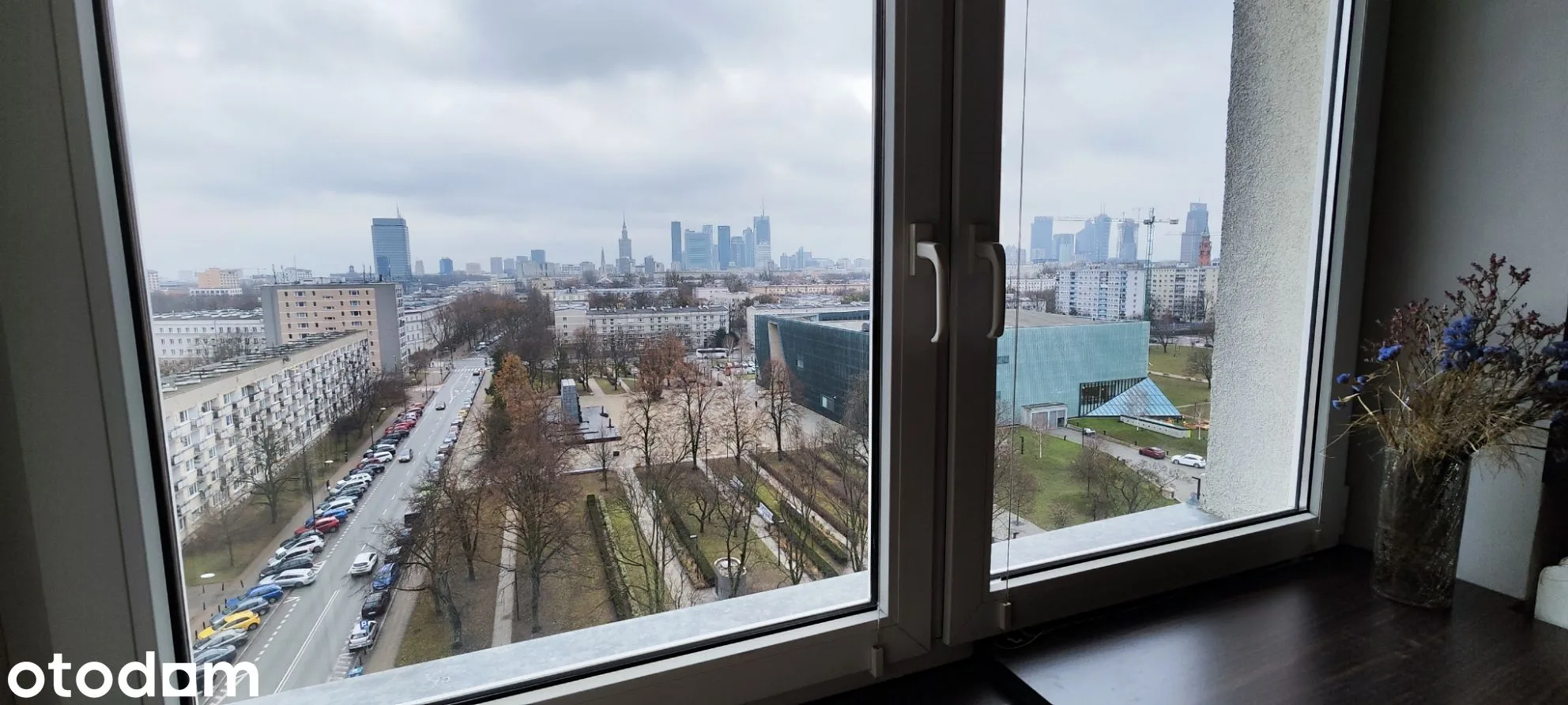view