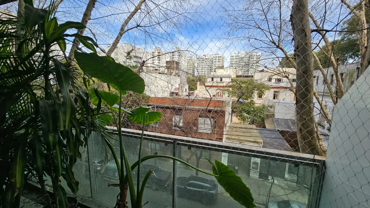 Vista