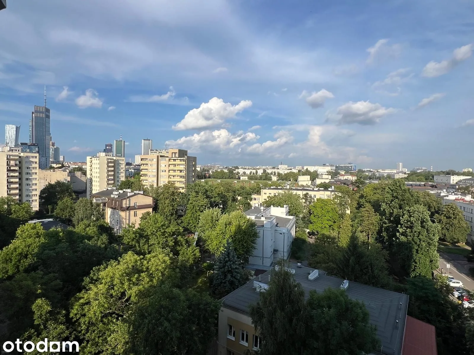 Вид