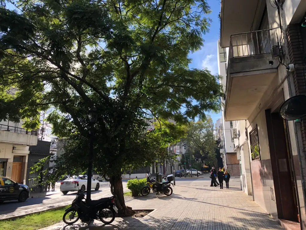 Departamento en Alquiler en San Telmo, CABA