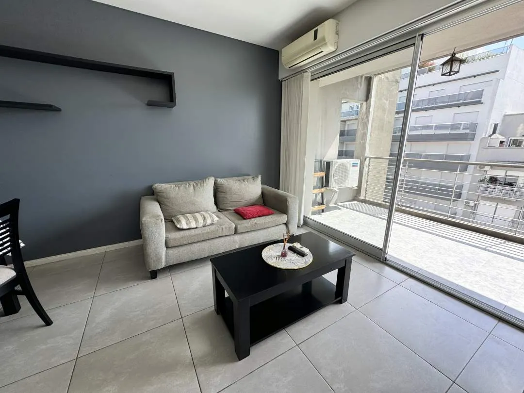 2-room apartment with terrace balcony