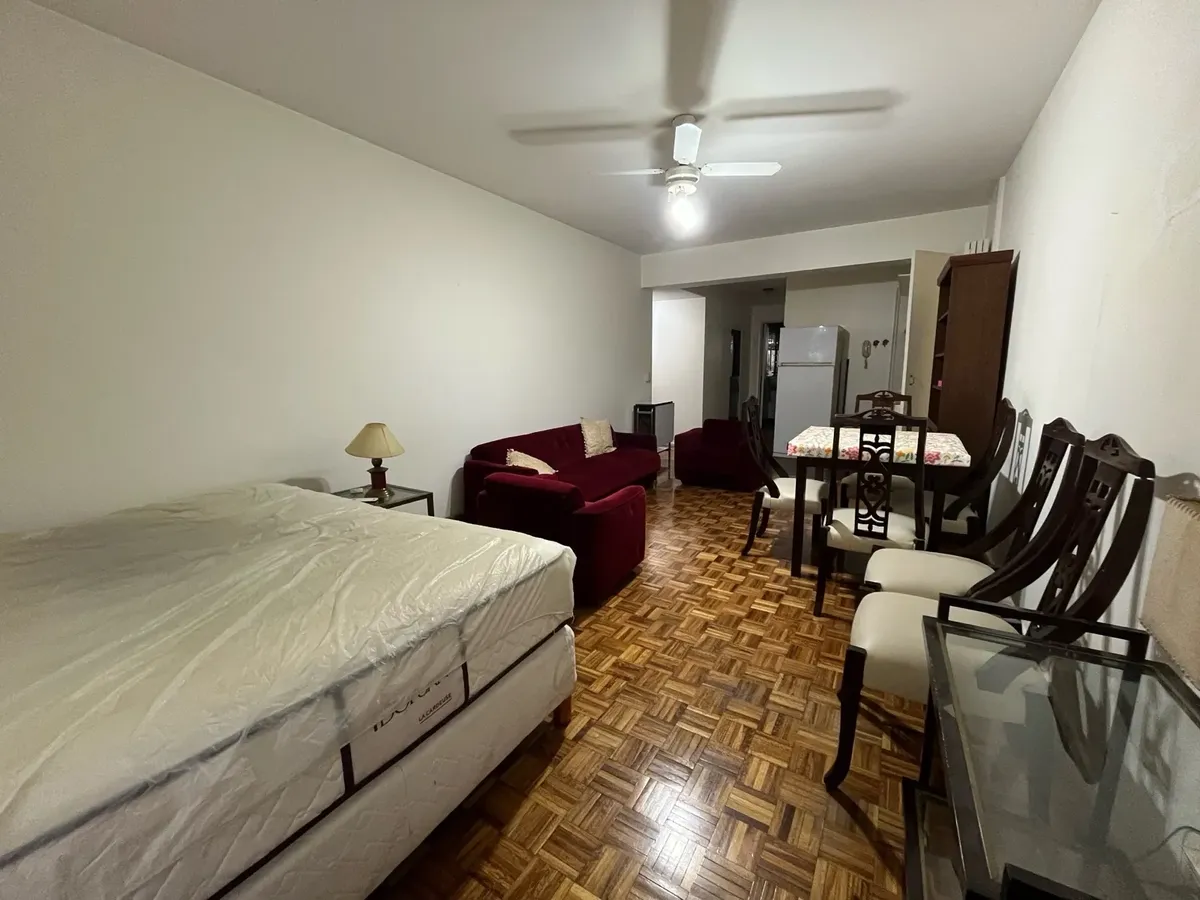 North-facing furnished studio