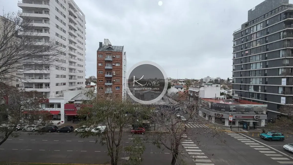 Вид