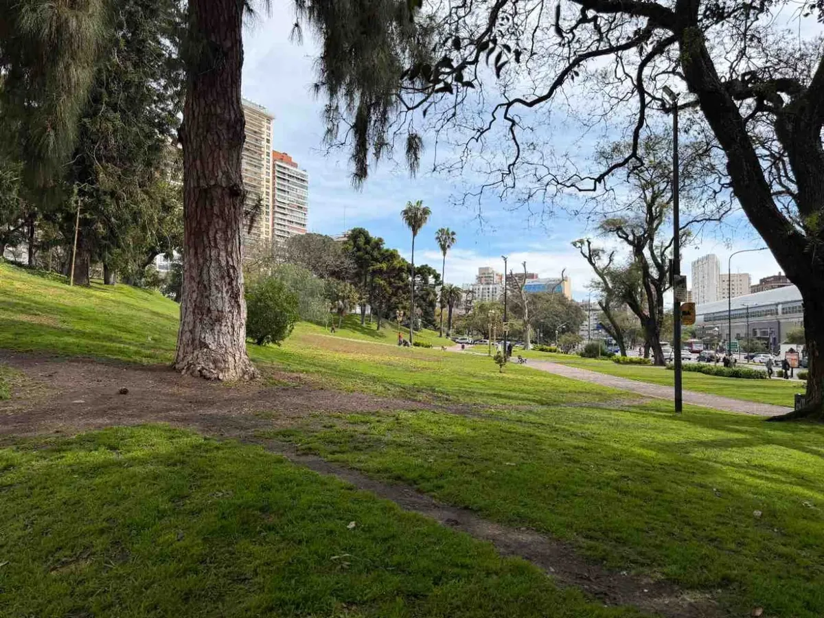 Vista