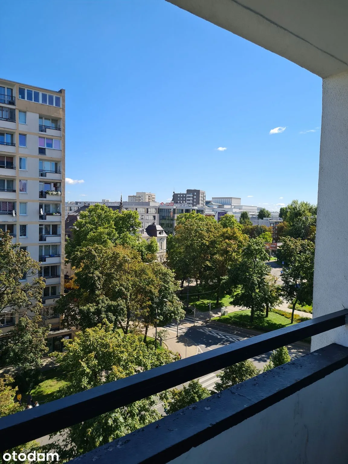 view