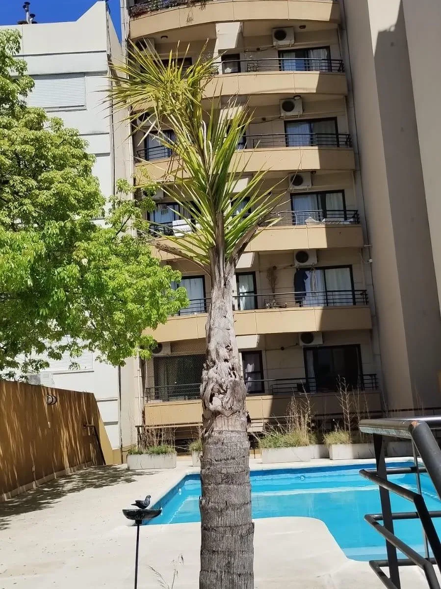 Monoambiente amoblado con pileta
