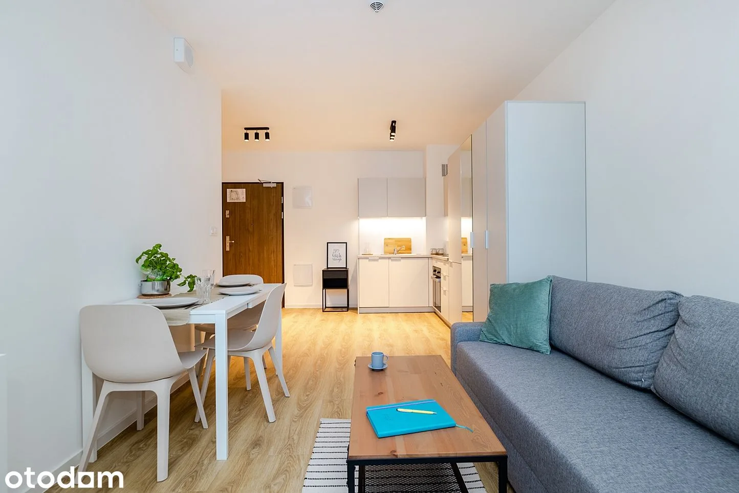 38 m² furnished 2-room, living_room