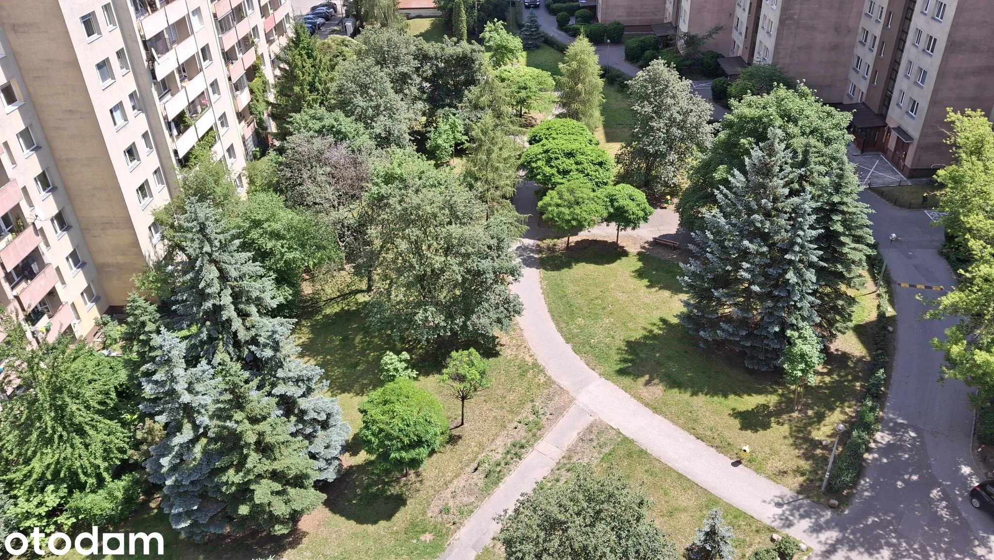 View