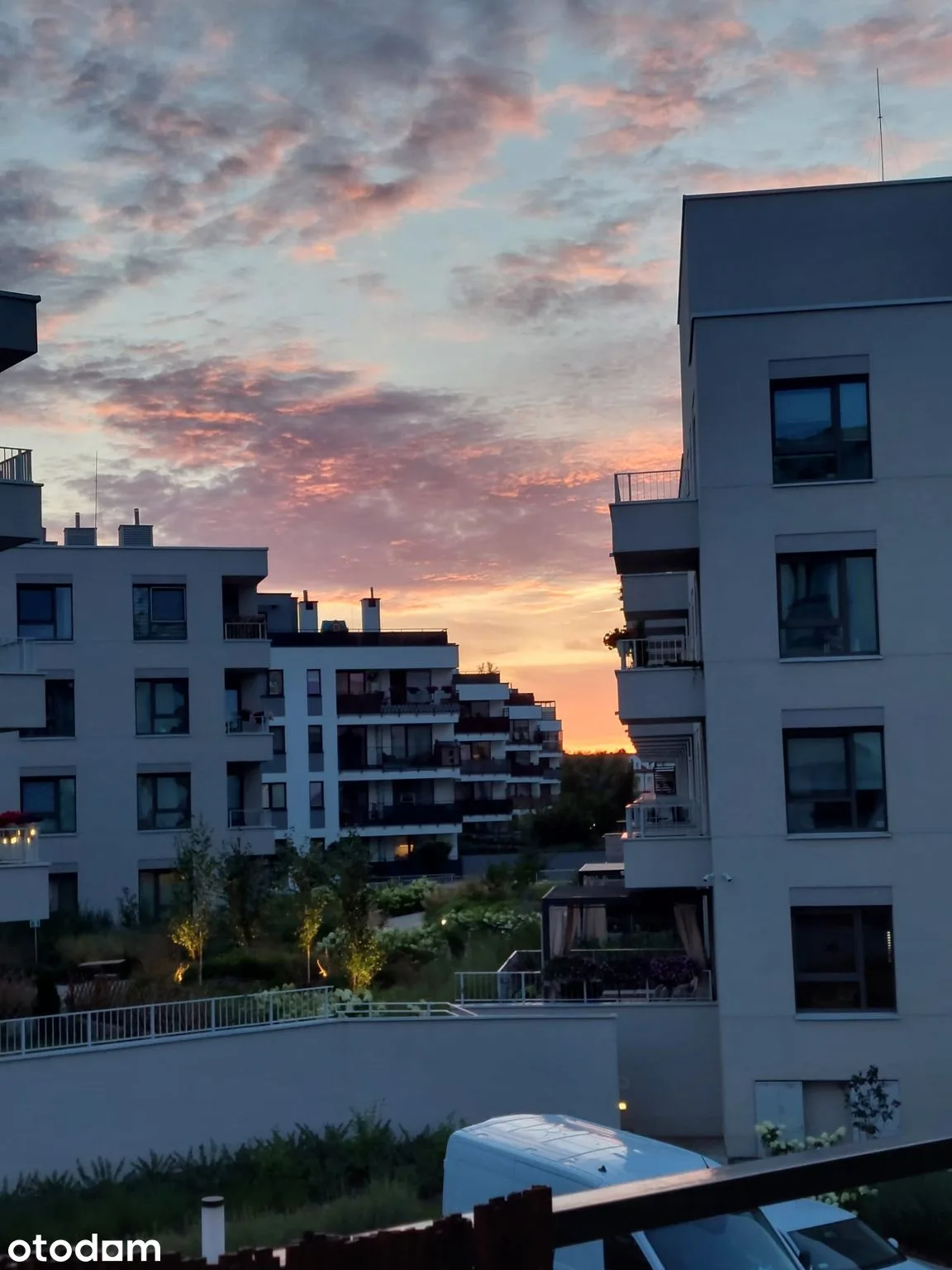 view