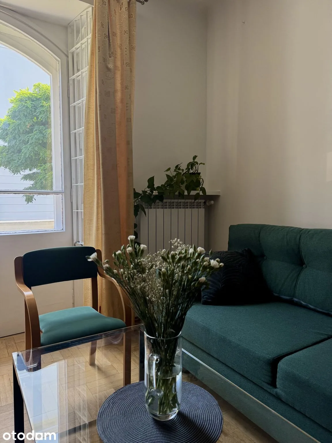 living_room