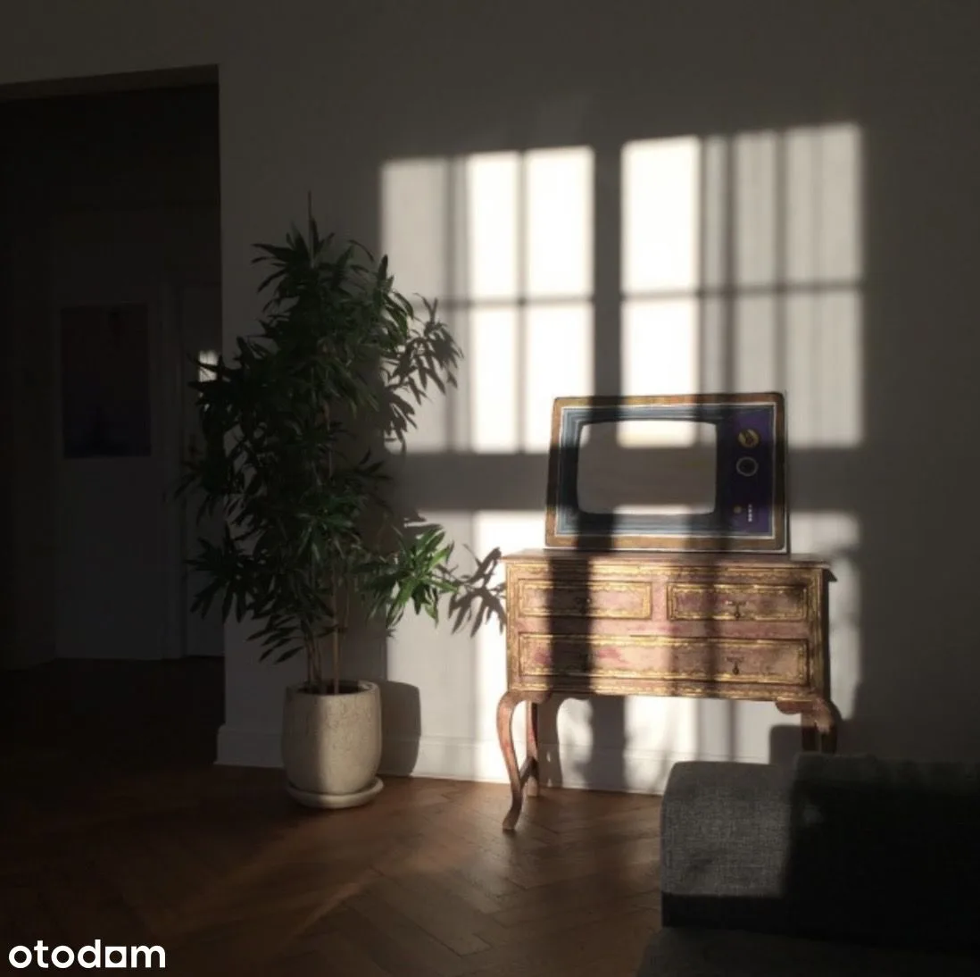 living_room
