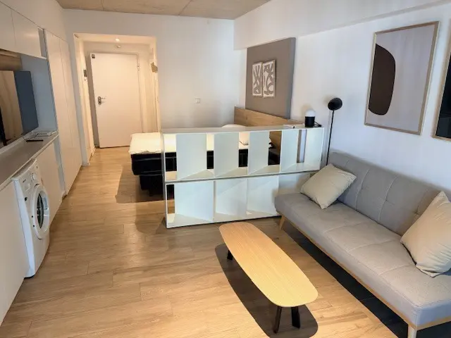 Palermo furnished studio apartment, living_room