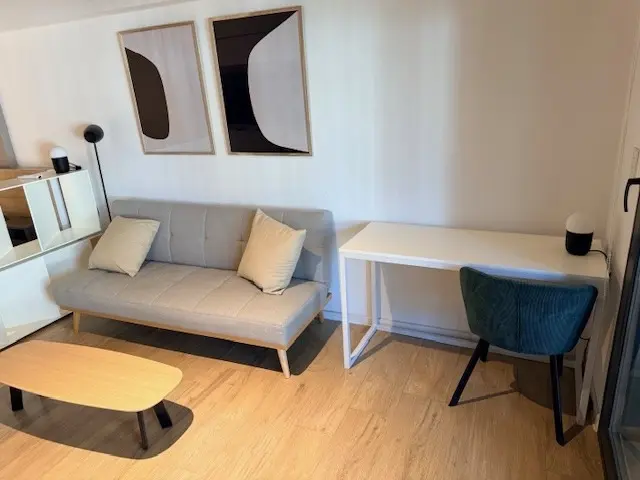 Palermo furnished studio apartment, living_room