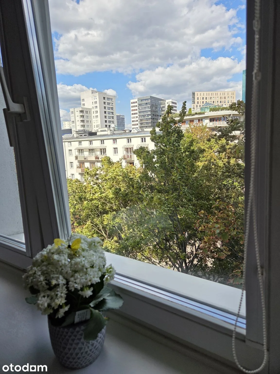 view
