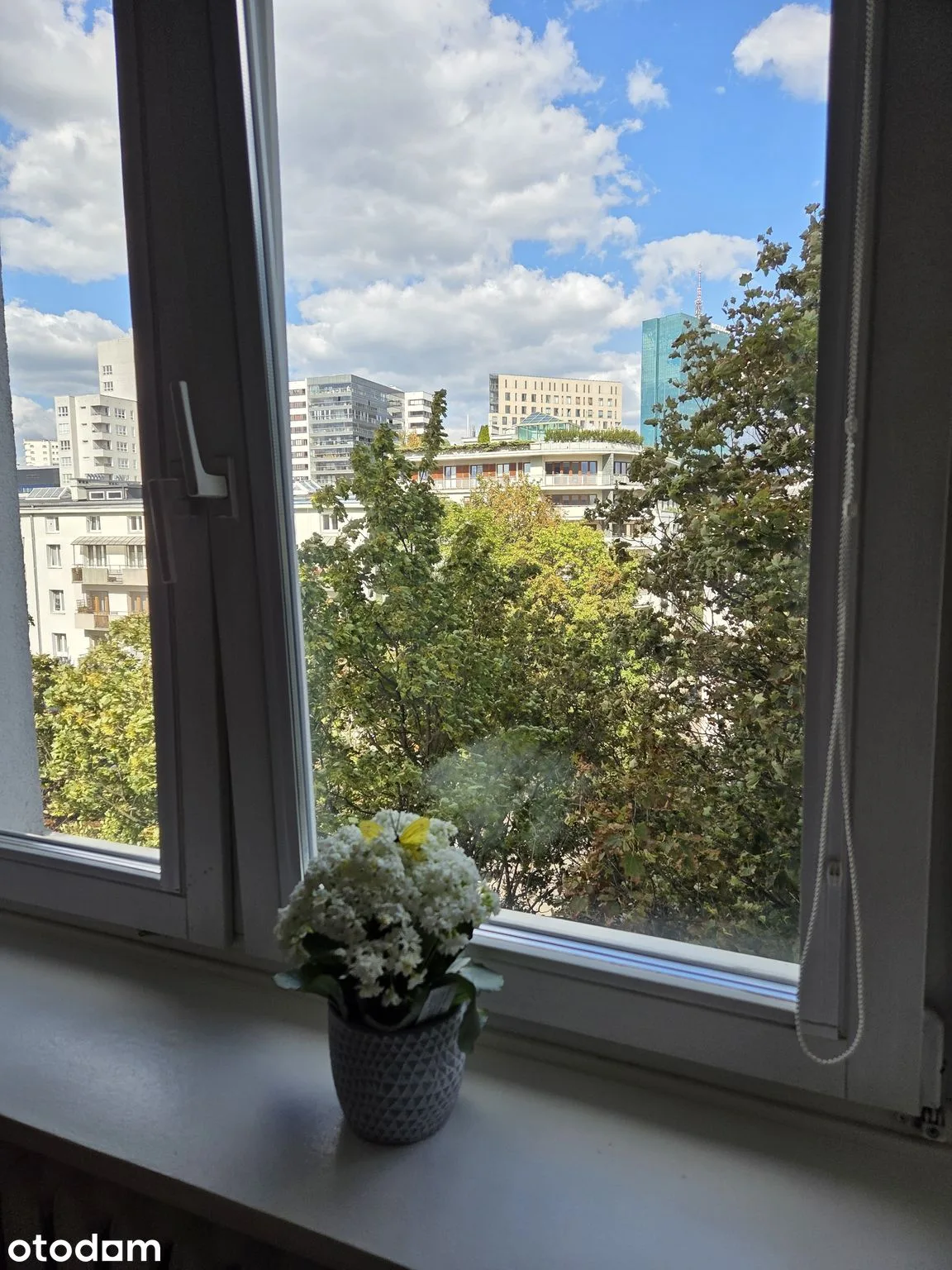 view