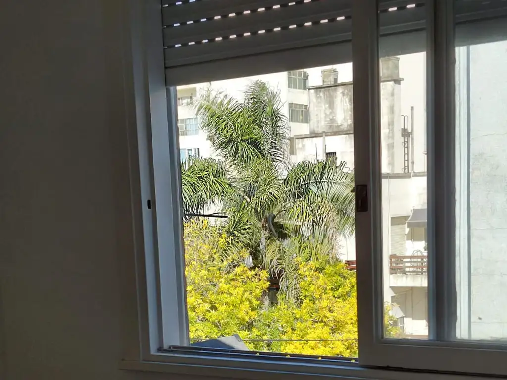 Vista
