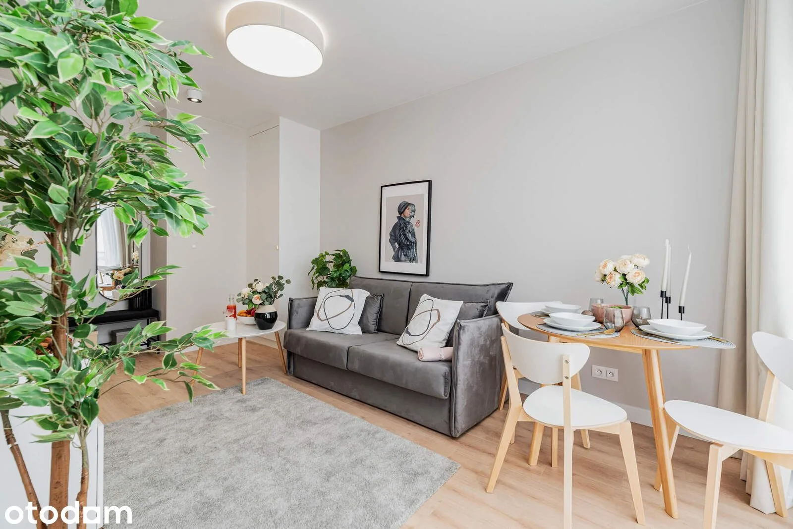living_room