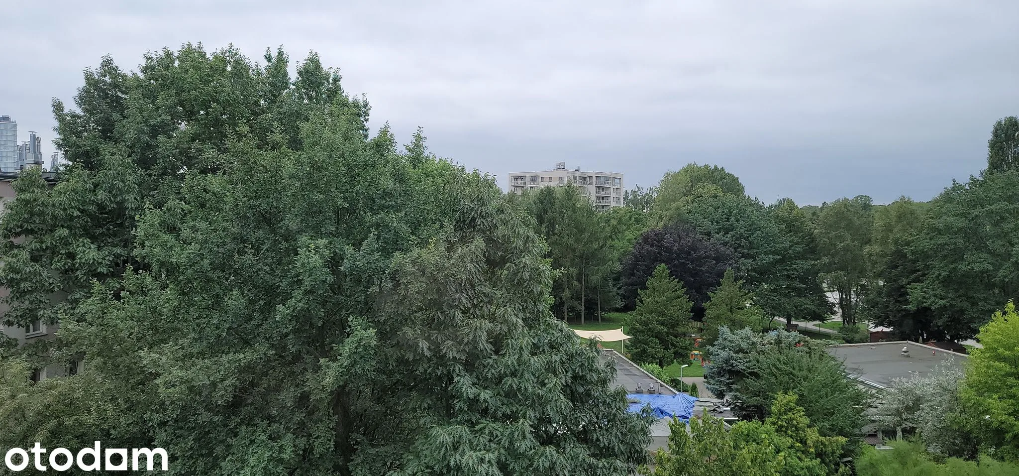 view